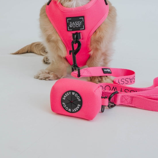 Dog Waste Bag Holder - Neon Pink