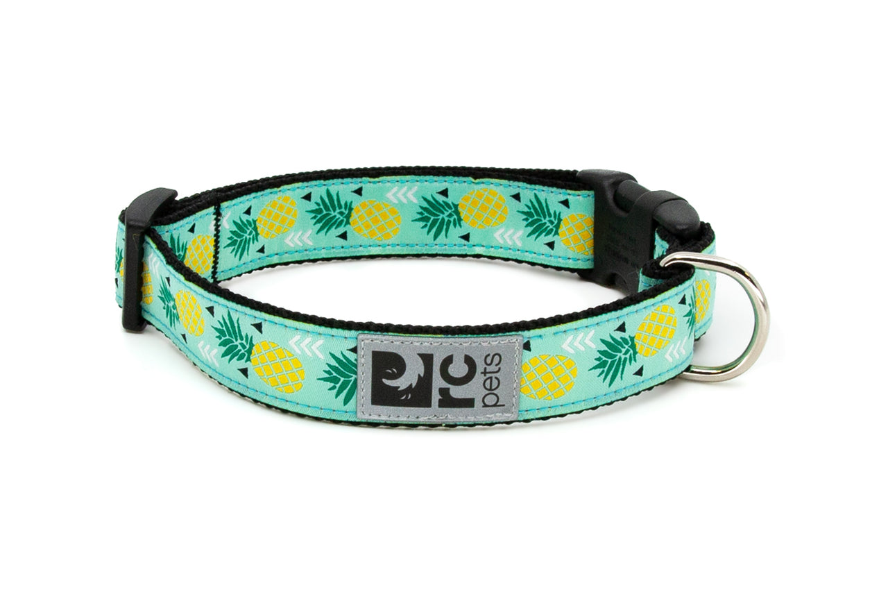 Clip Collar Pineapple Parade XXS