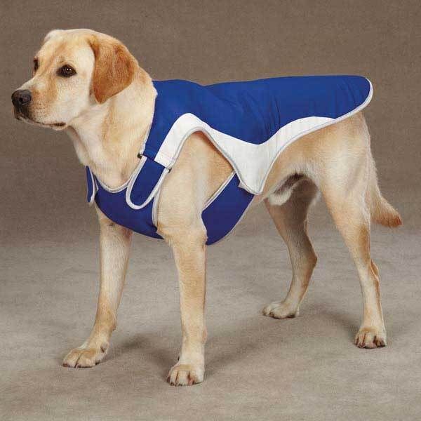 [Clearance] Cooling Pet Coat