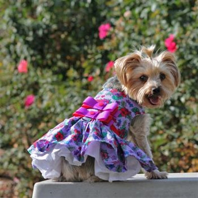 Purple and Red Floral Dress with Matching Leash