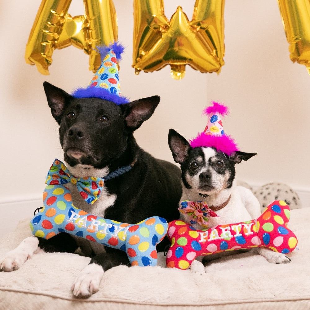 Party Time Bow Tie