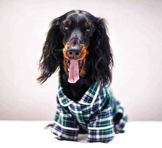Navy Black Plaid Anti Pill Basic Fleece Big Dog Pajamas – BigDogsCloset