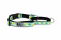 Easy Clip Web Training Collar XS Pineapple Parade