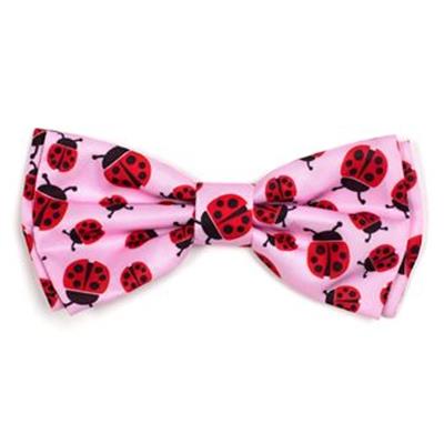 Ladybugs Bow Tie