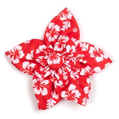 Aloha Coral Flower