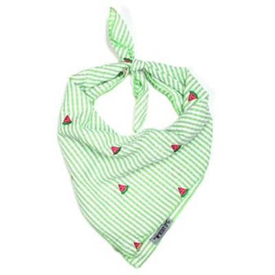 Green Stripe Watermelon Bandana