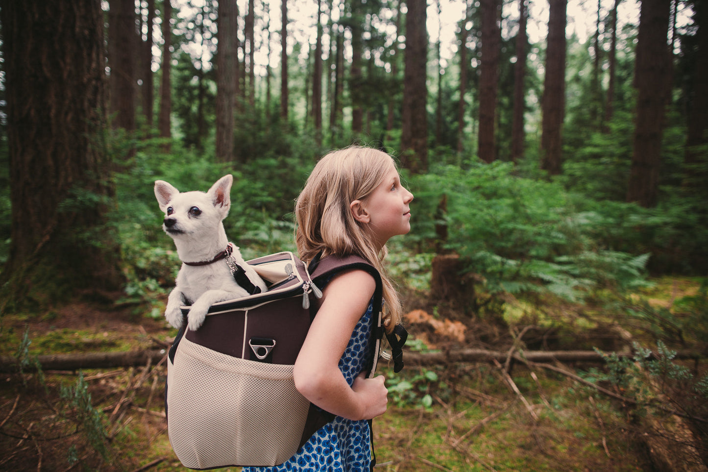 The EVA Backpack Pet Carrier