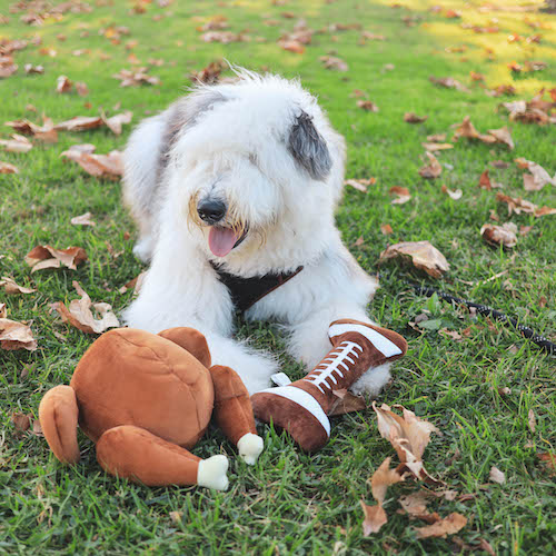 Football Bone Dog Toy