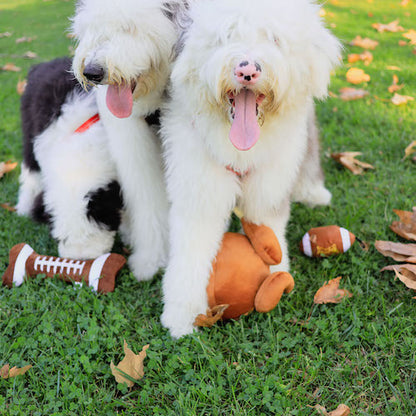 Football Bone Dog Toy