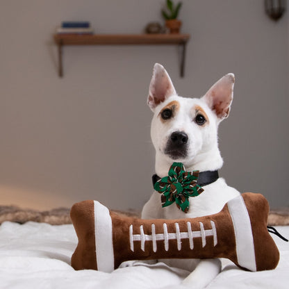 Football Bone Dog Toy