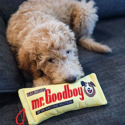 Mr.Goodboy Dog Toy (Stuffless)