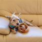 Pretzel Toy