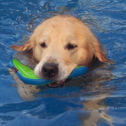 Amphibious Boomerang