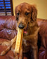 Yeti Dog Chew Large