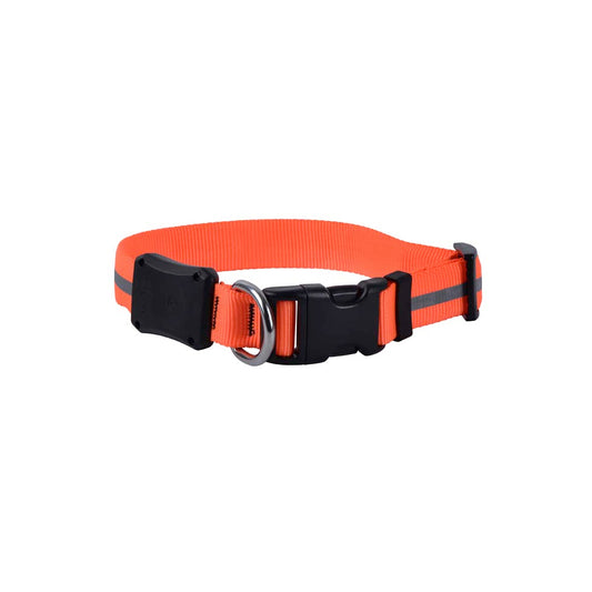 NiteDawg LED Light-Up Collar