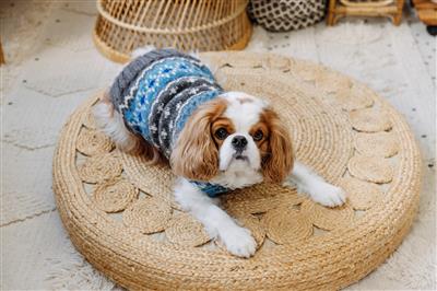 Light Blue Fairisle Wool Sweater