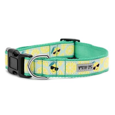 Lemons Dog Collar