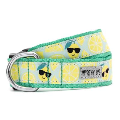 Lemons Dog Collar