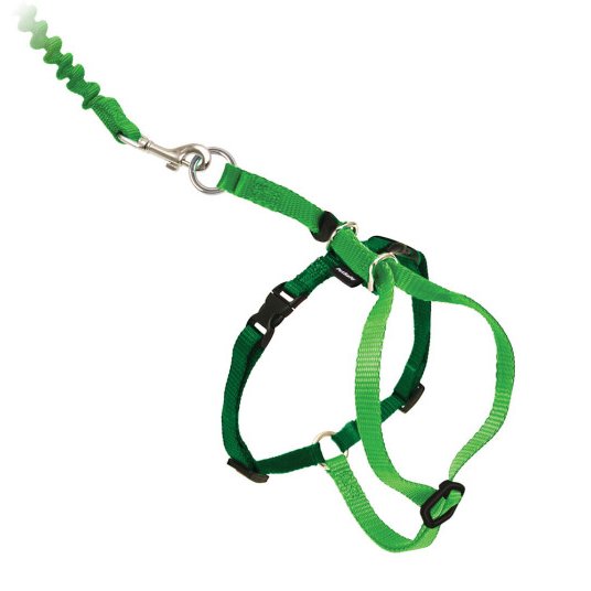 Come With Me Kitty Cat Harness & Bungee Leash