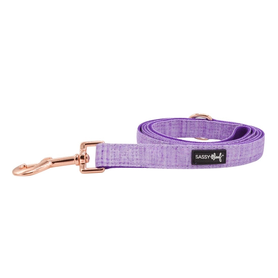 Dog Leash - Aurora