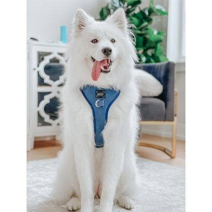 Dog Harness - Denim