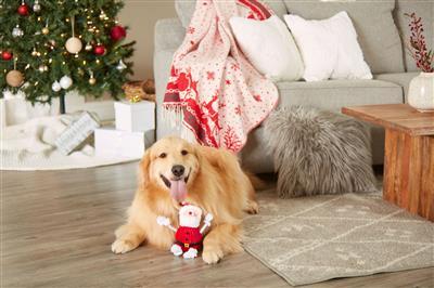 Real Santa Claus Dog Toy