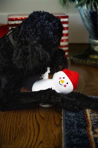 [Clearance 30%] Snowman Dog Toy