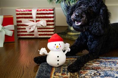 [Clearance 30%] Snowman Dog Toy