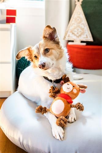 Reindeer Dog Toy