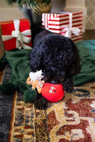 Wrecking Bauble Dog Toy