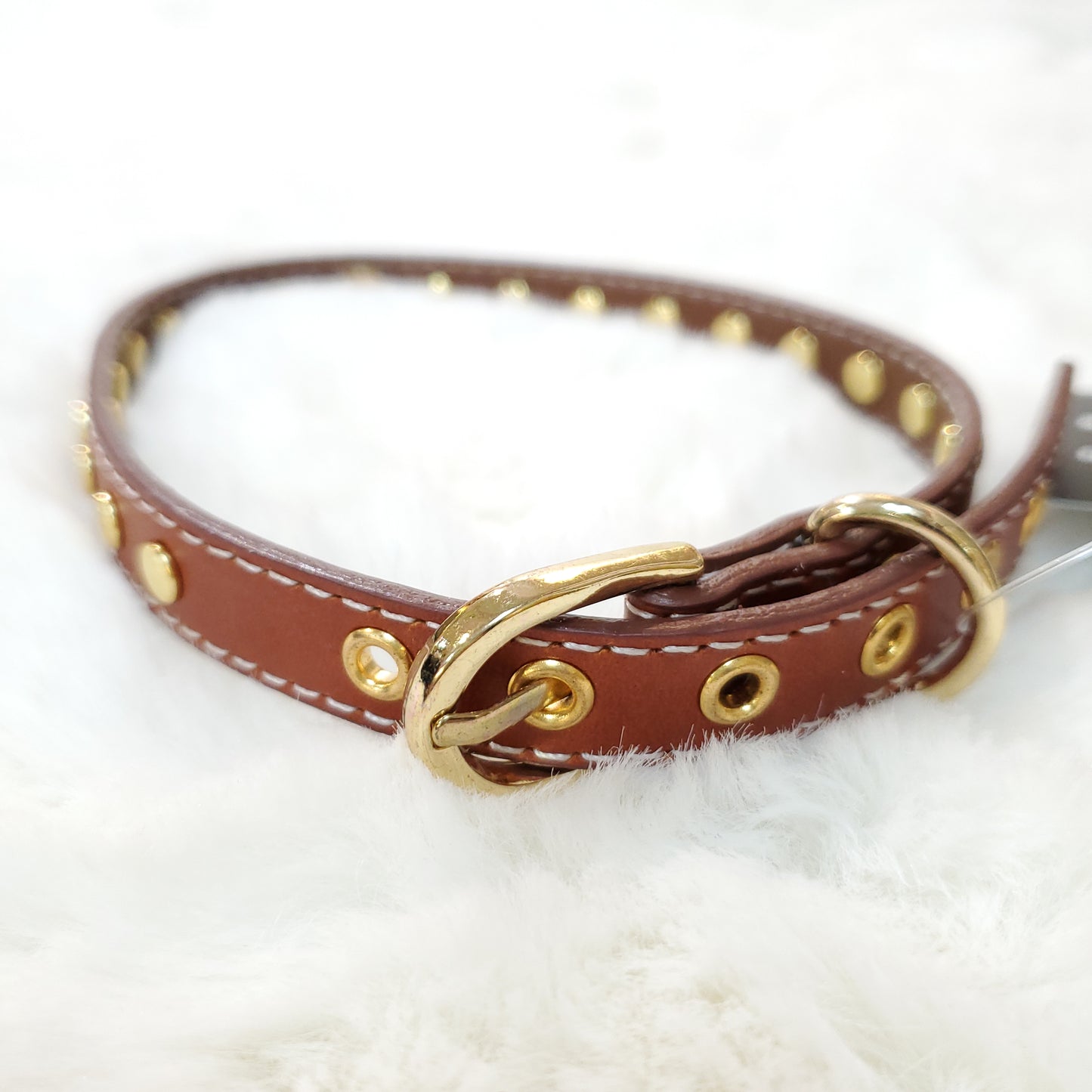 Genuine Leather Studded Collar