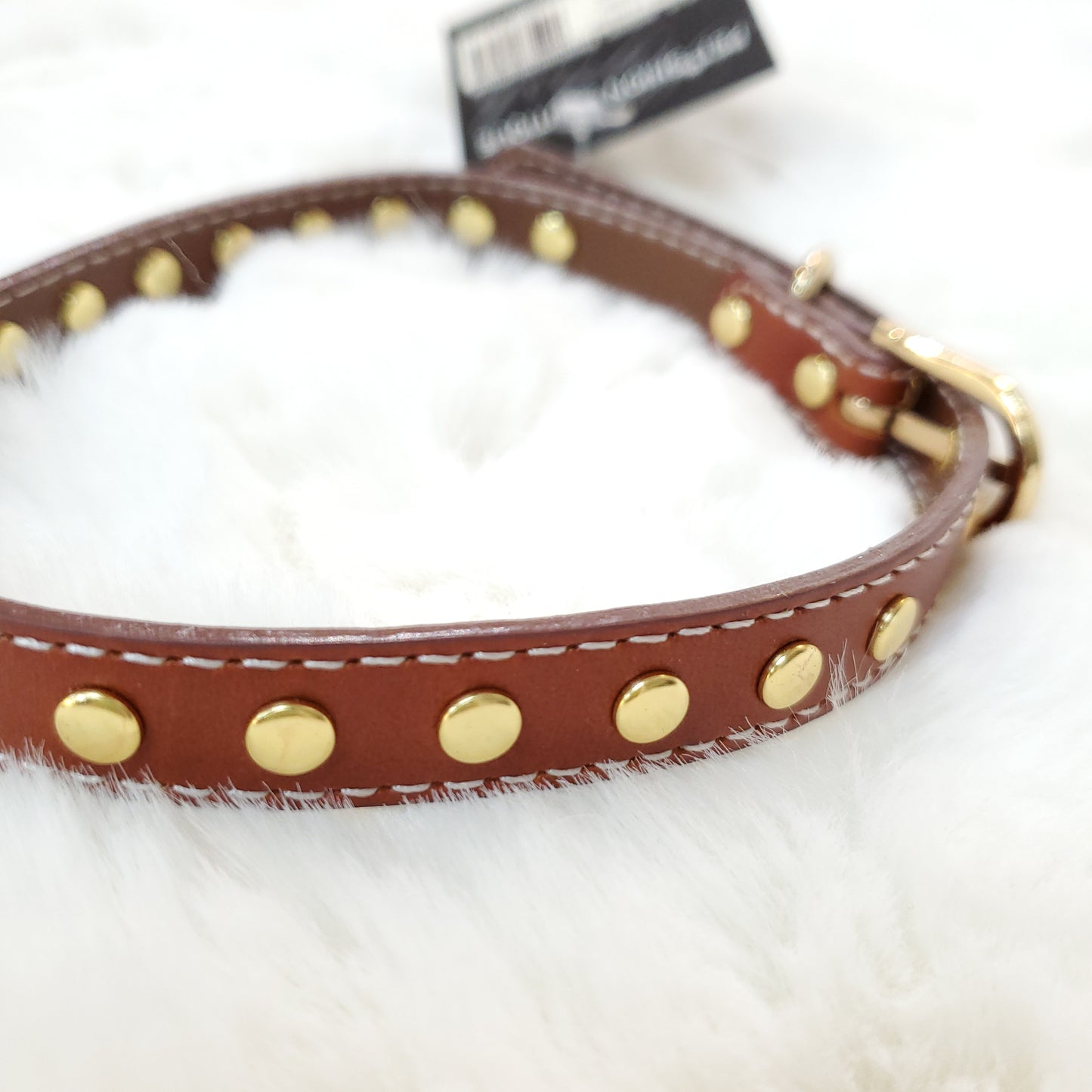 Genuine Leather Studded Collar