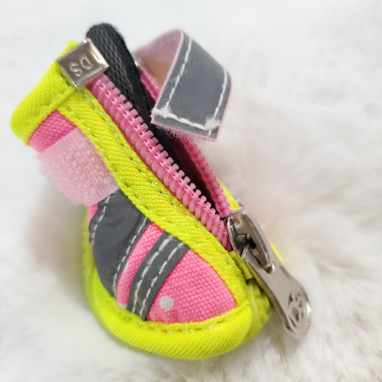 Neon Doggy Shoes