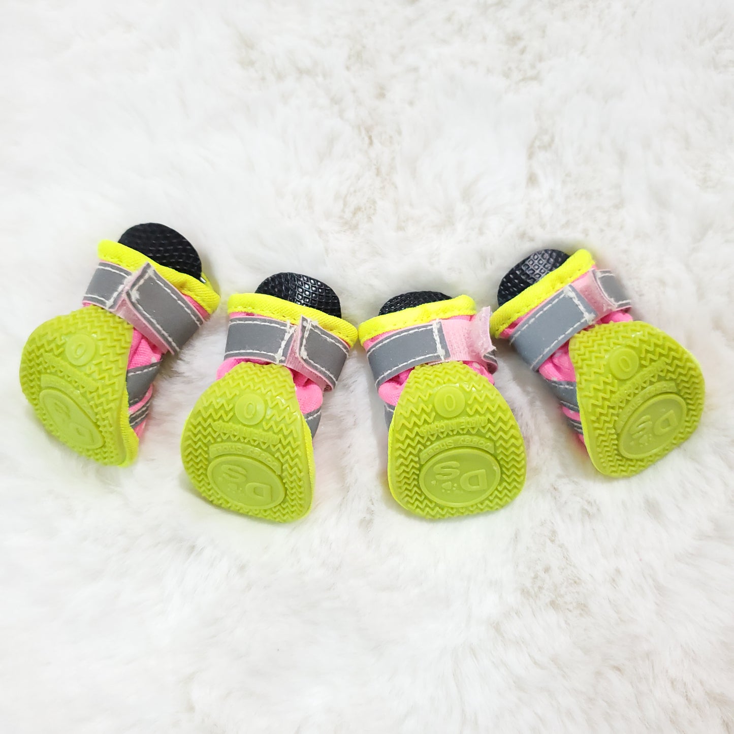 Neon Doggy Shoes