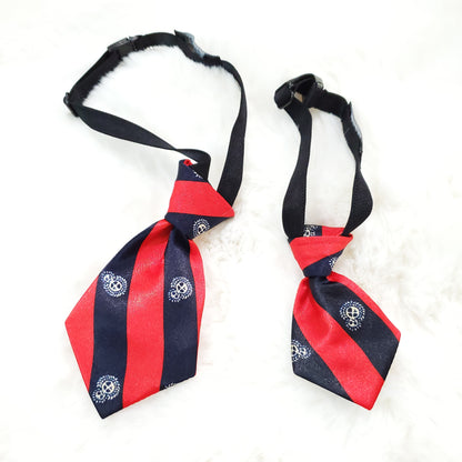 Preppy Neck Tie Red