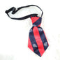 Preppy Neck Tie Red