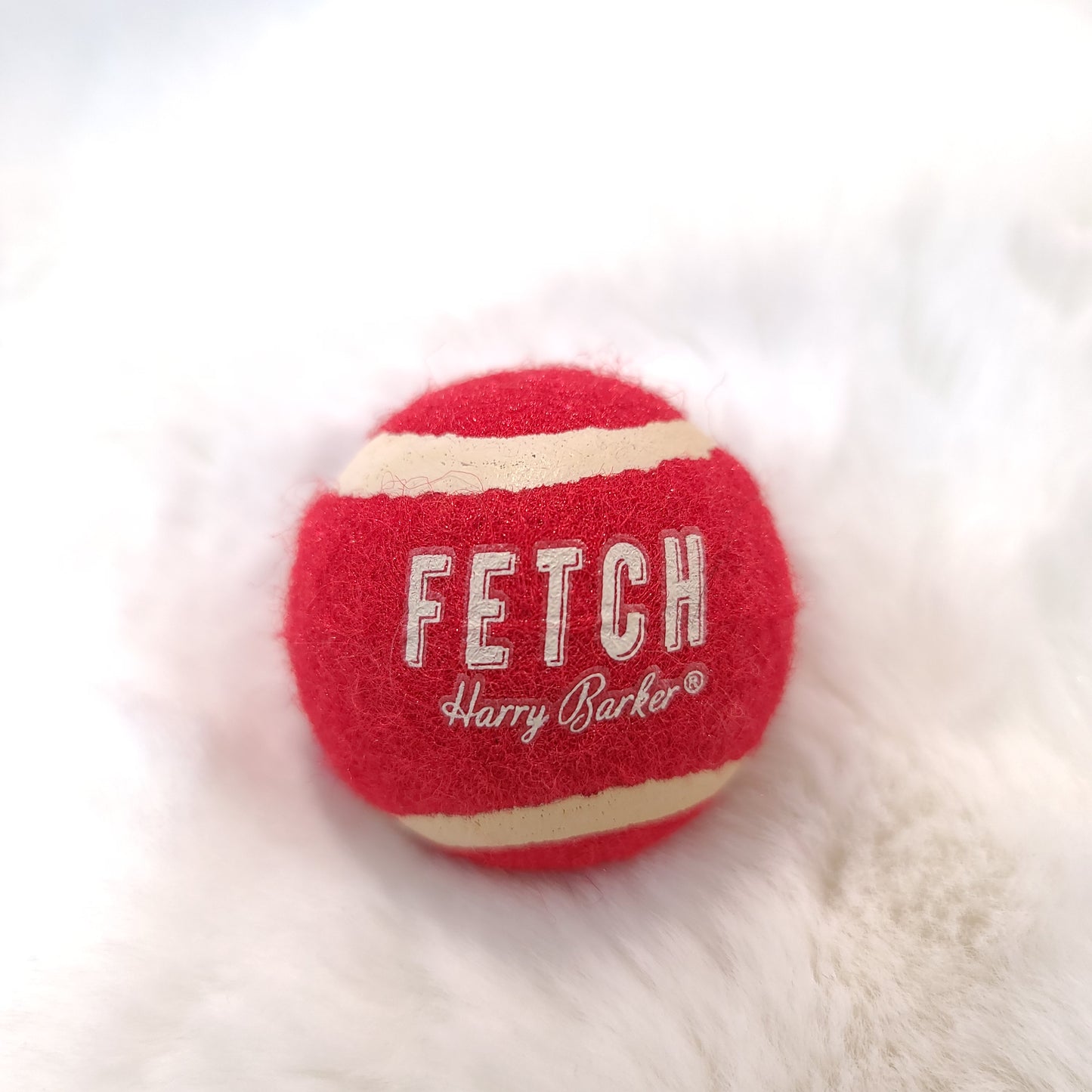HarryBarker Fetch mini Ball Red