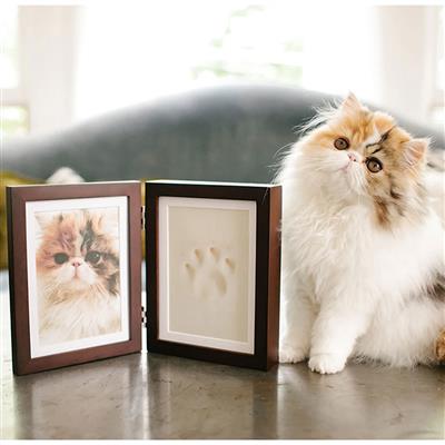 Pawprints Desk Frame - Espresso