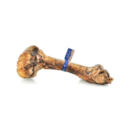 Barkworthies Beef Femur Bone
