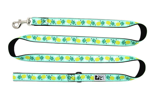 Pineapple Parade Dog Leash