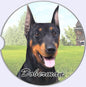 Dog Breed Car Coasters