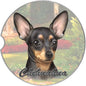 Dog Breed Car Coasters