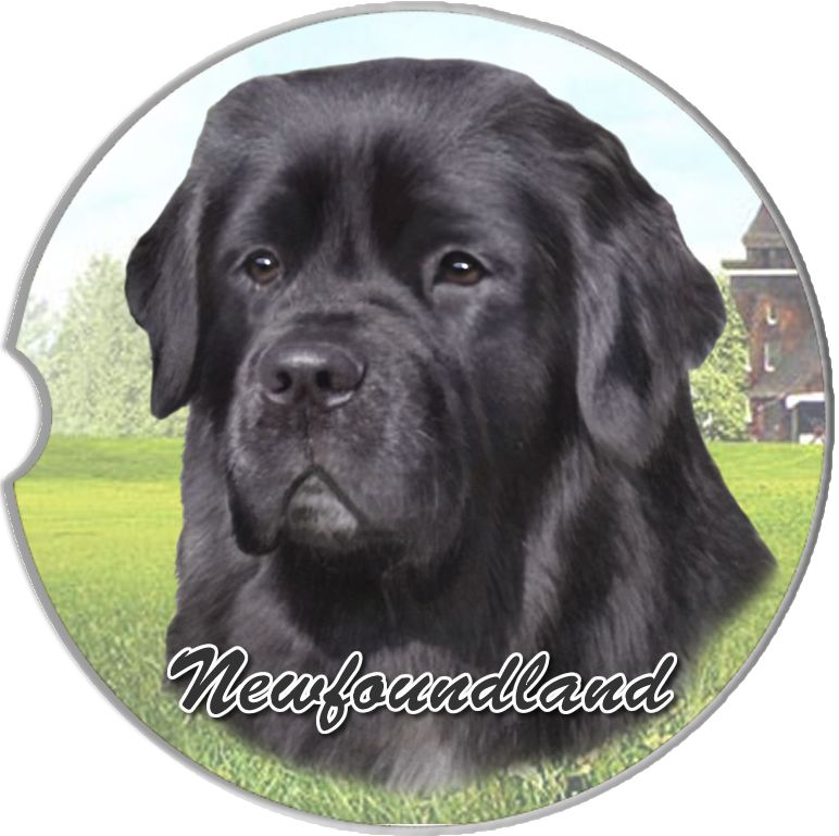 Dog Breed Car Coasters