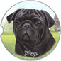 Dog Breed Car Coasters