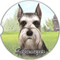 Dog Breed Car Coasters