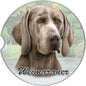 Dog Breed Car Coasters