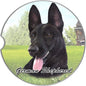 Dog Breed Car Coasters