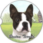 Dog Breed Car Coasters