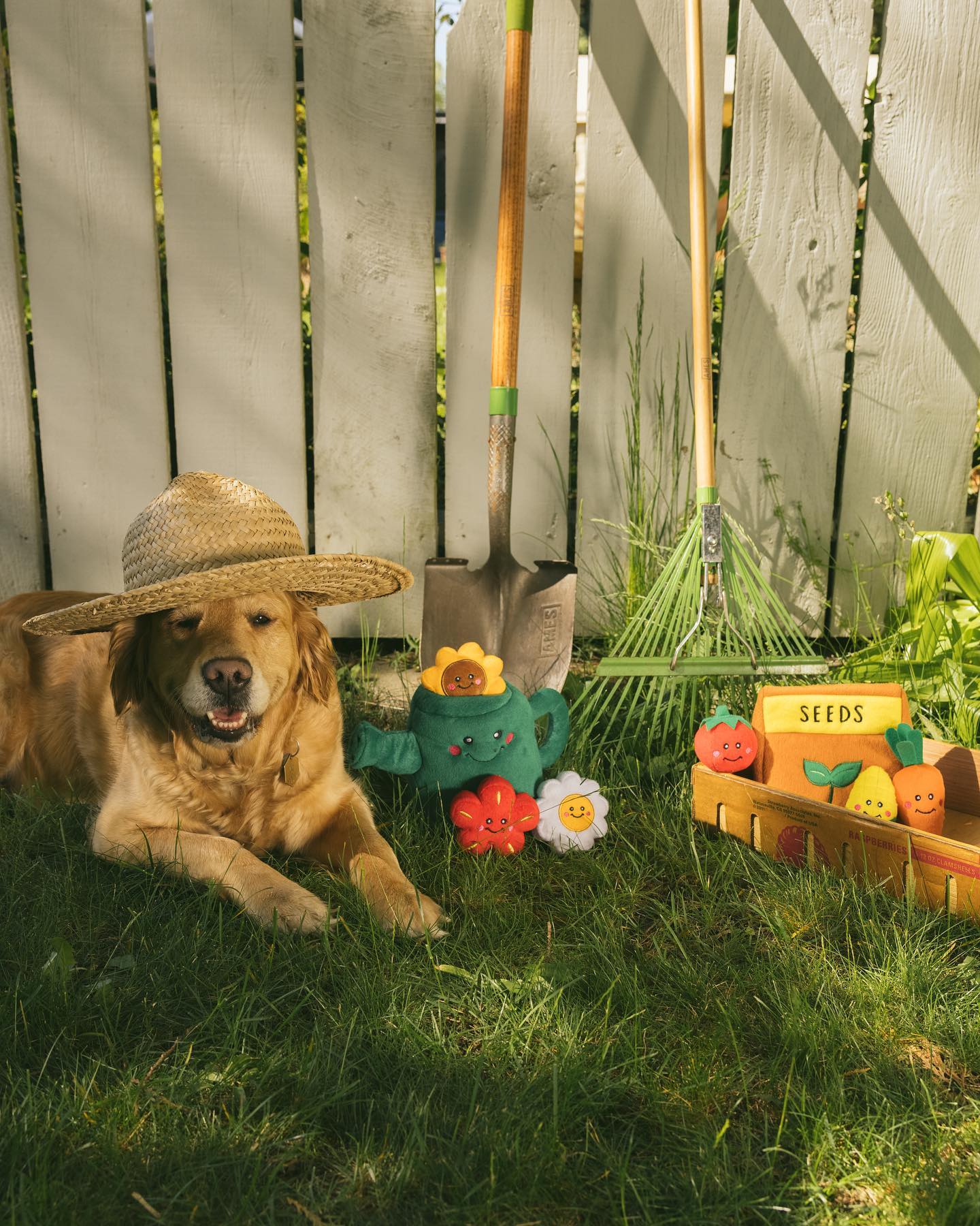 Zippy Burrow - Watering Can