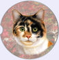 Cat Breed Car Coasters